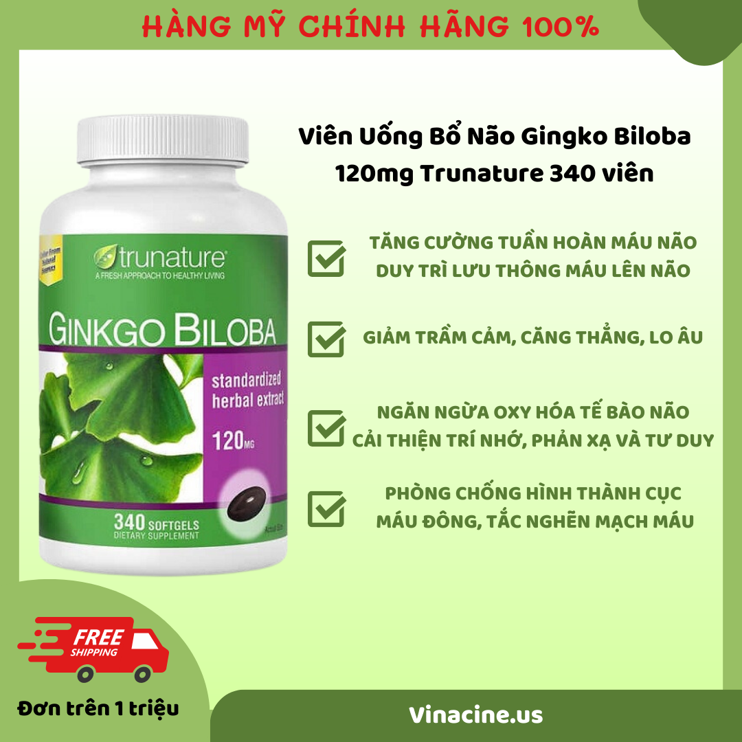 Thuốc Ginkgo Biloba 120 mg: Công Dụng, Liều Dùng và Lợi Ích Cho Sức Khỏe