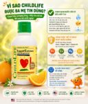 Vinacine Frame mới 2 (37)
