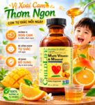 Vinacine Frame mới 2 (40)