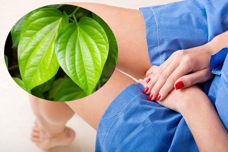 Hướng dẫn mua hàng tại website Vinacine.us