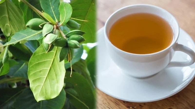 Nước lá bàng chữa viêm phụ khoa