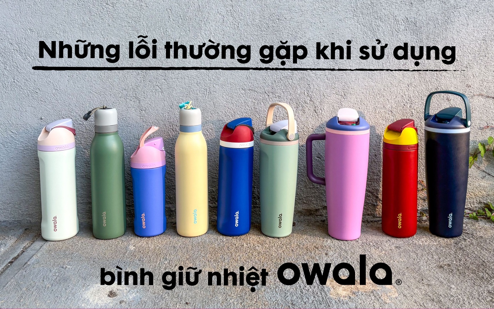 Top 7 cách dưỡng tóc mềm mượt cực hiệu quả lại tiết kiệm