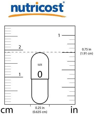 41XLxa40WQL._AC_SL1000_