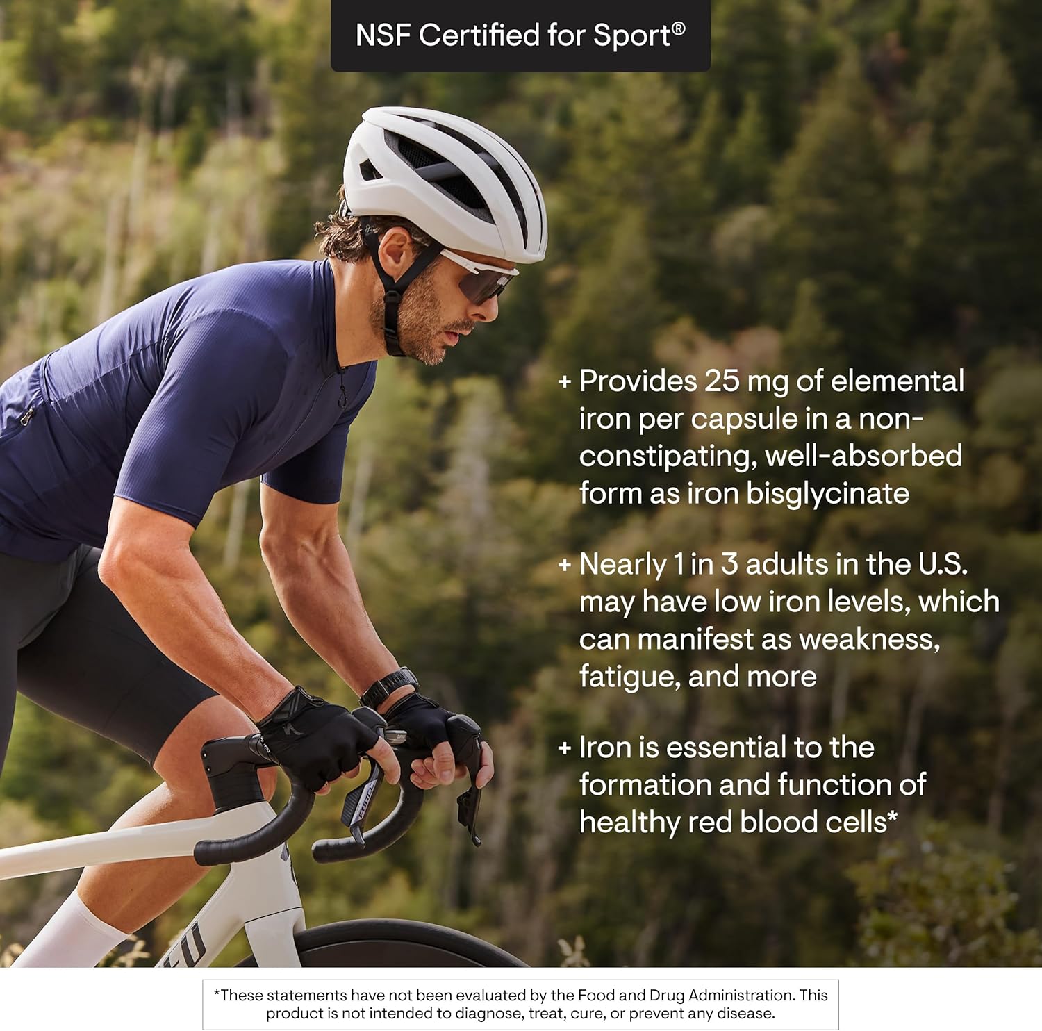 81NY5Dt6i1L._AC_SL1500_