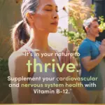 Vinacine Frame mới 2 (27)