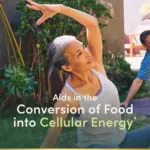 Vinacine Frame mới 2 (27)