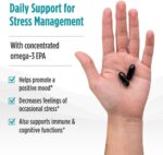 Vinacine Frame mới 2 (3)