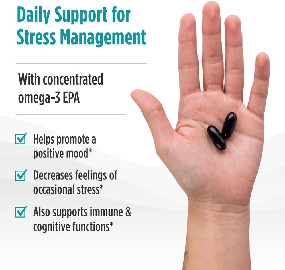 61NRjnNrmHL._AC_SL1000_