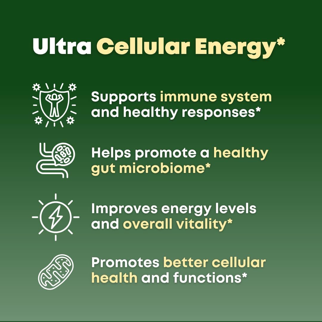 61VhsOjQ1IL._AC_SL1080_