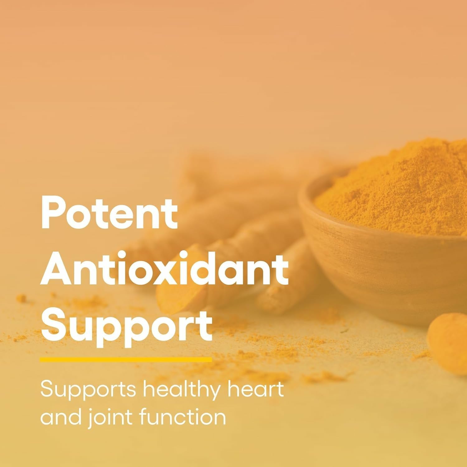 61b40oVvcFL._AC_SL1500_