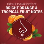 Vinacine Frame mới 2 (37)