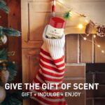 Vinacine Frame mới 2 (36)