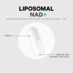 Vinacine Frame mới 2 (11)