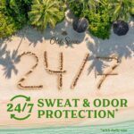 Vinacine Frame mới 2 (39)