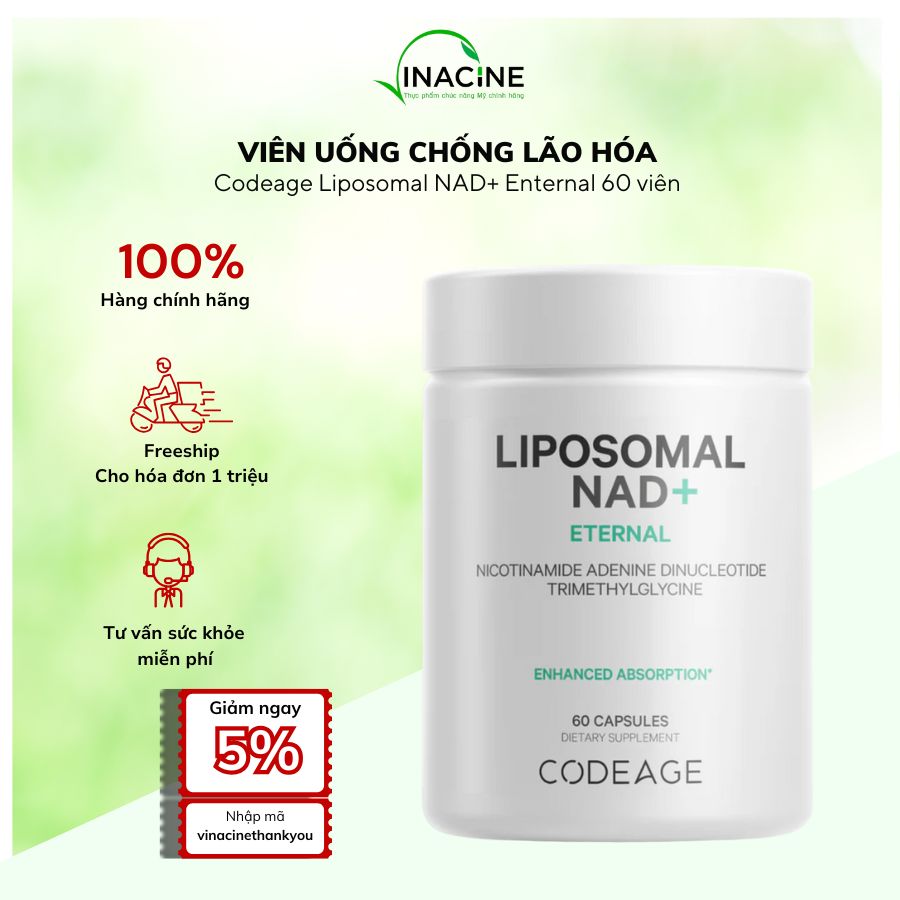 Vinacine Frame mới 2 (11)