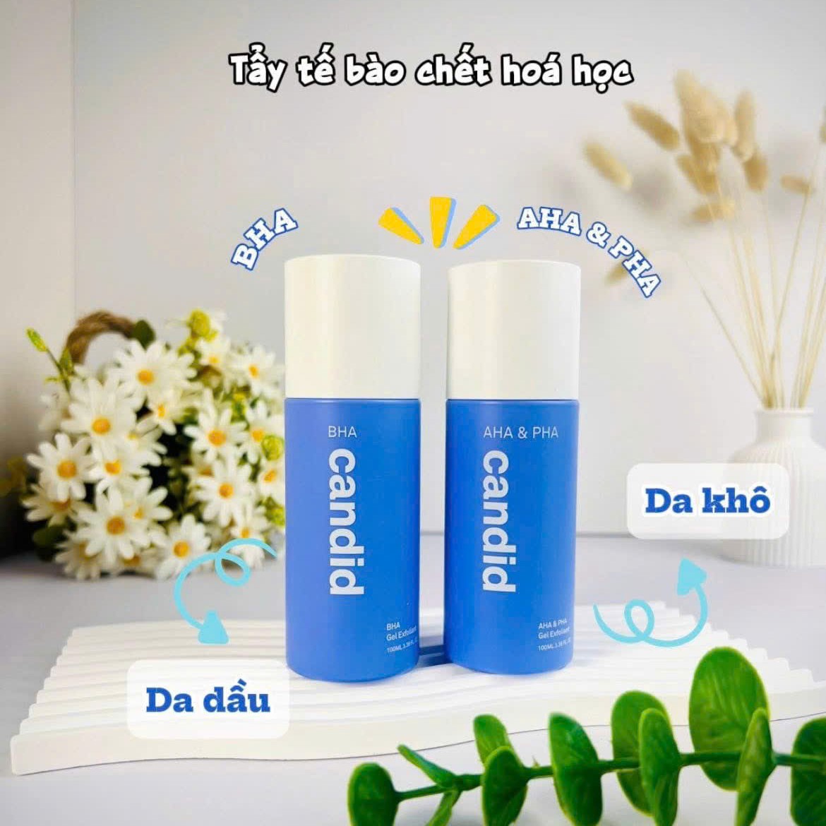 z7237570471431_59b02b00393cbf143733afce39c99380