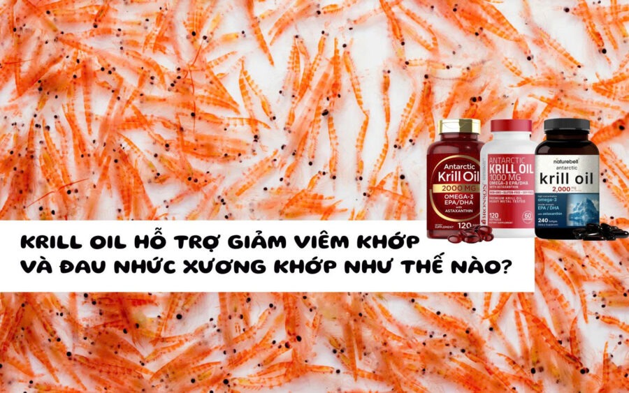 Cảm nhận chi tiết về Carlyle Krill Oil