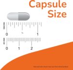 Vinacine Frame mới 2 (53)