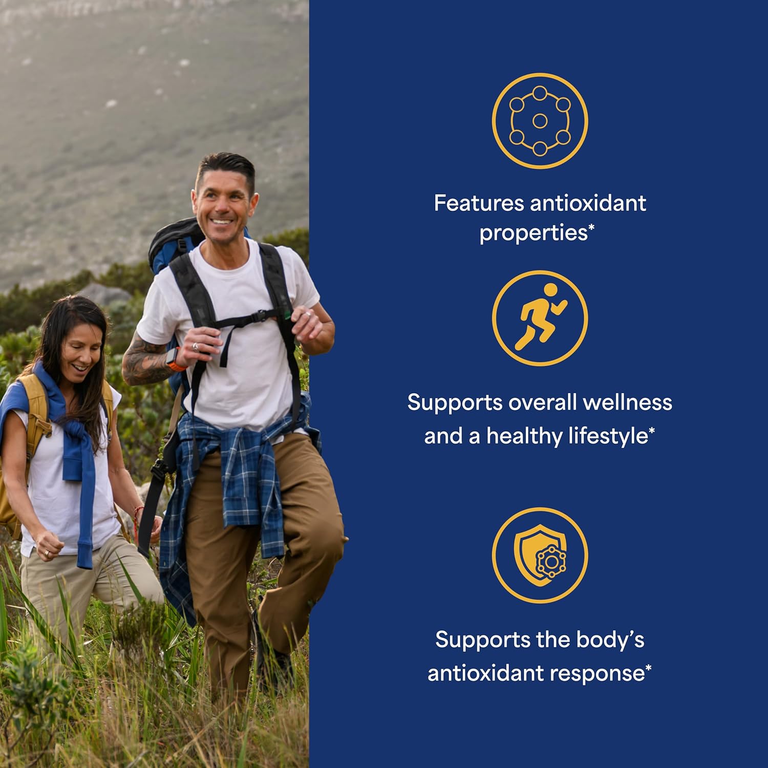 81dWEsD6CuL._AC_SL1500_