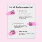 Vinacine Frame mới 2 (48)