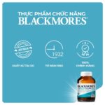 Vinacine Frame mới 2 (49)