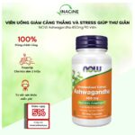 Viên Uống Giảm Căng Thẳng NOW Ashwagandha 450mg 90 Viên