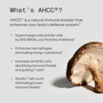 Vinacine Frame mới 2 (8)