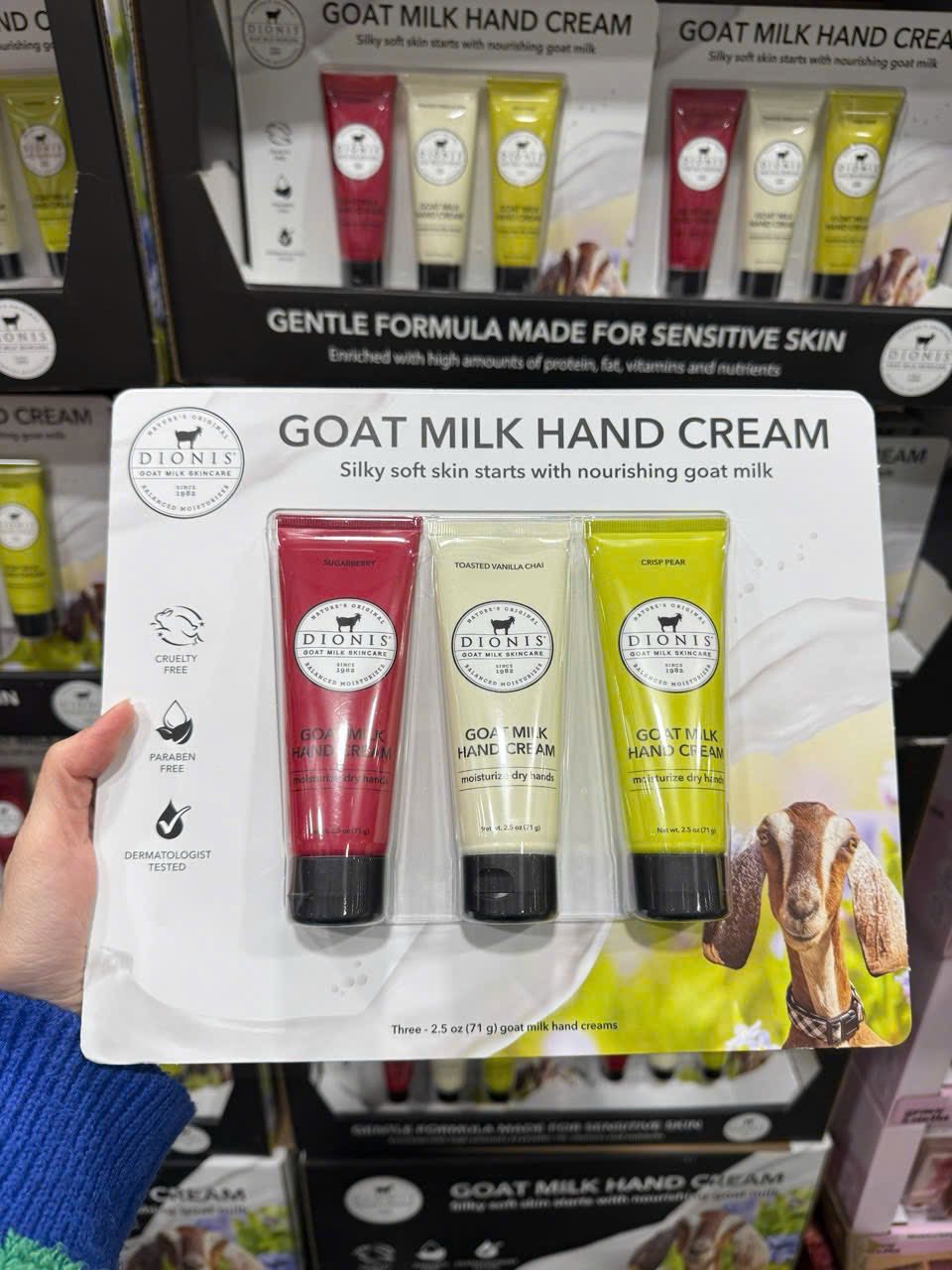 651024479_3377900335693460_8743697820789684402_n