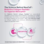 Vinacine Frame mới 2 (4)