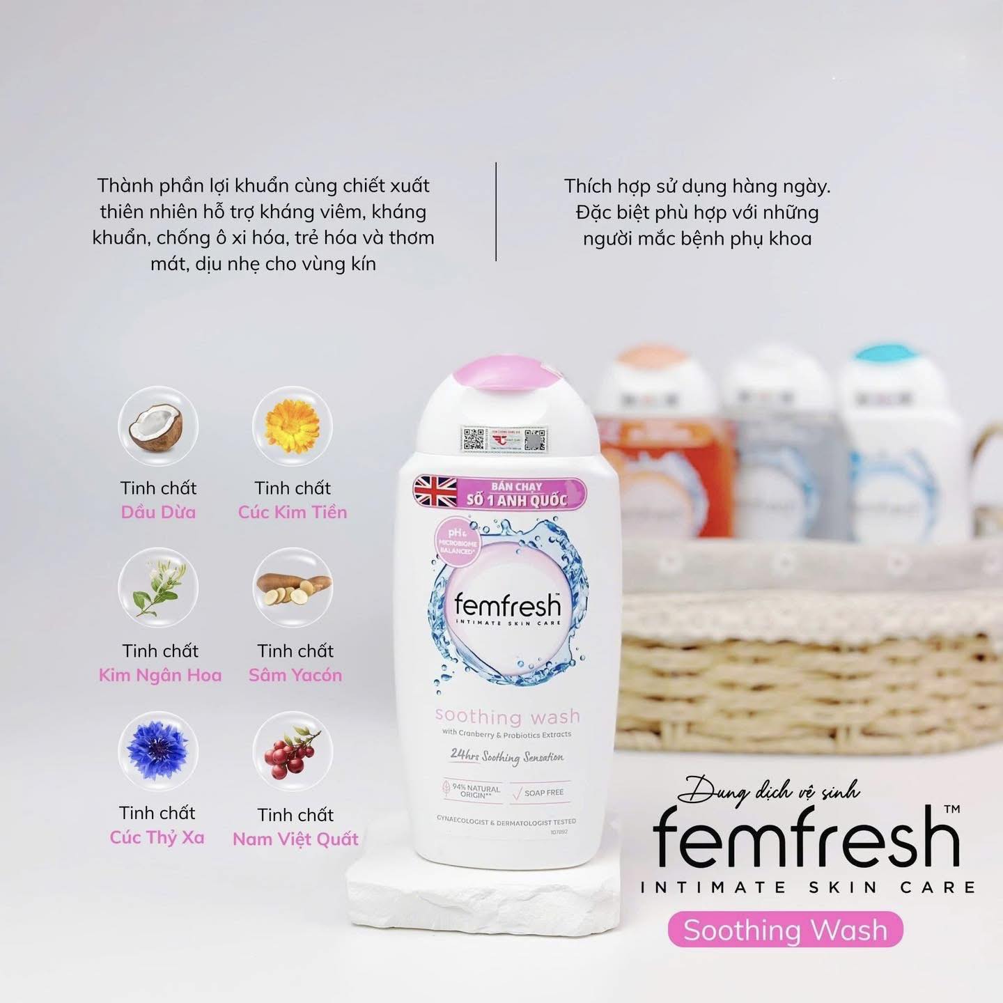 663365220_1390871636403443_9187908277702220076_n