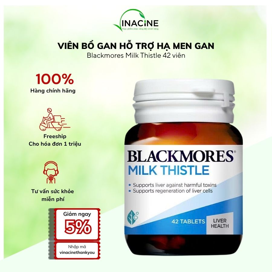 Vinacine Frame mới 2 (12)