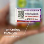 Vinacine Frame mới 2 (11)