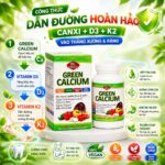 Vinacine Frame mới 2 (46)