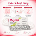 Vinacine Frame mới 2 (34)