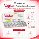 Vinacine Frame mới 2 (34)