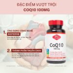Vinacine (21)