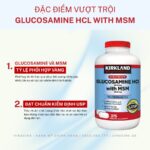 Vinacine (61)
