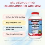 Vinacine (61)
