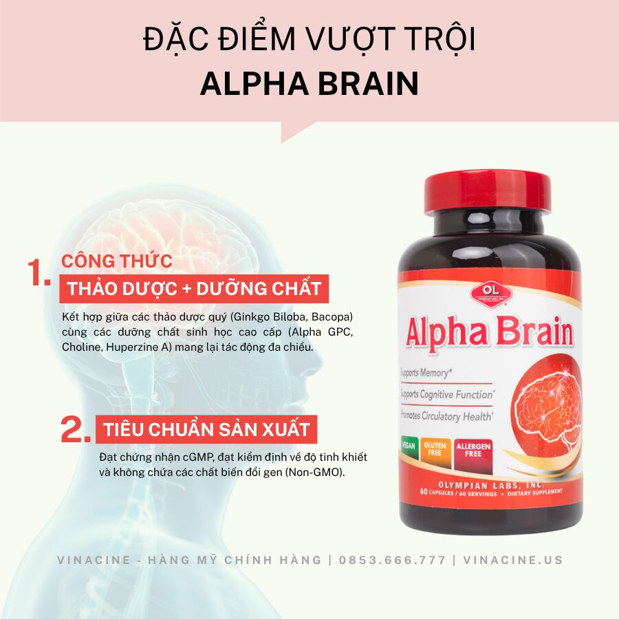 Vinacine (88)