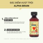 Vinacine