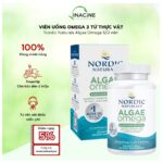 Nordic Algae 120v